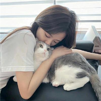现代豪侠传